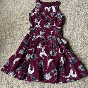 Gorgeous Banana Republic Dress NWT